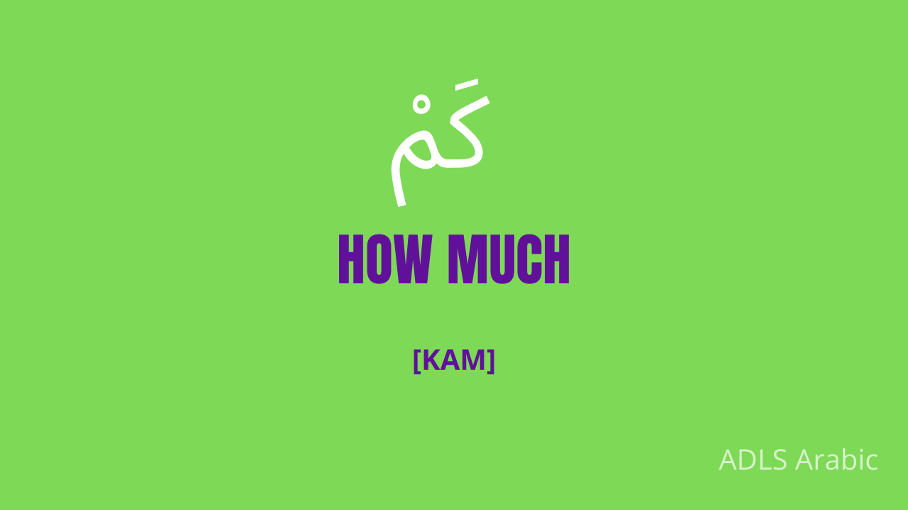 How to say how much in Arabic ADLS Arabic Courses