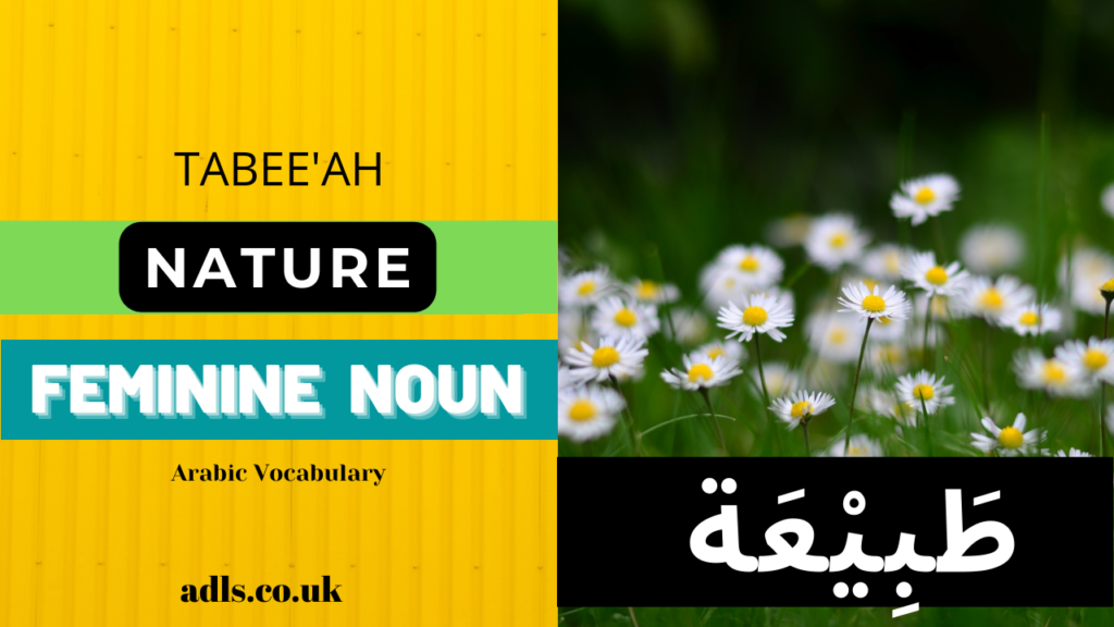 Nature in Arabic