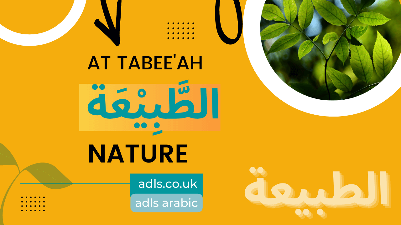 essay about nature in arabic