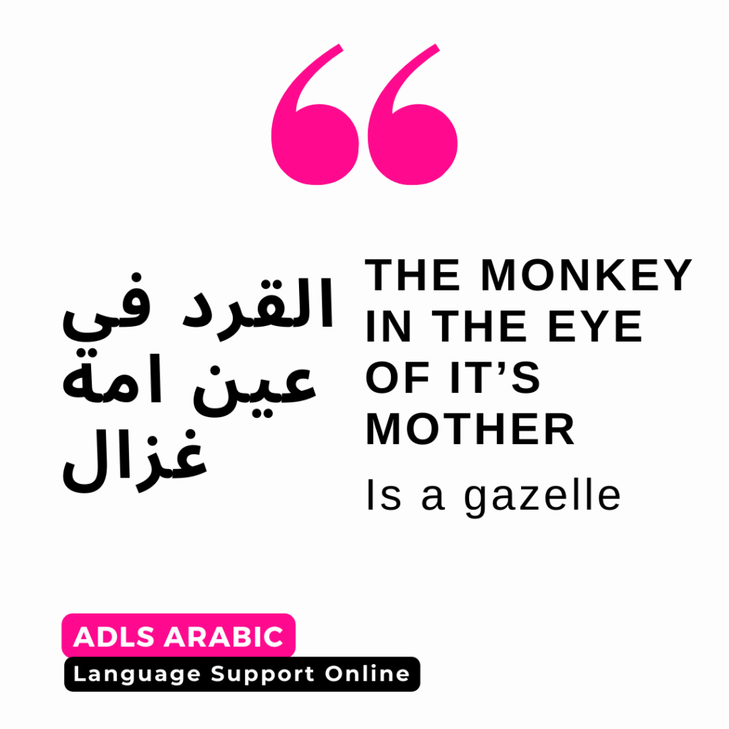 Learn Arabic in August